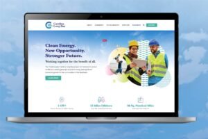 Read more about the article Long Bay Website Design & Online Growth