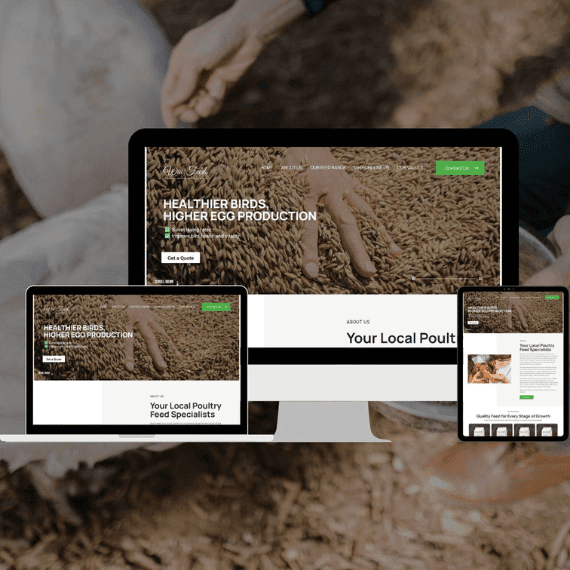 Read more about the article Hibiscus Coast Website Design, SEO & Online Marketing